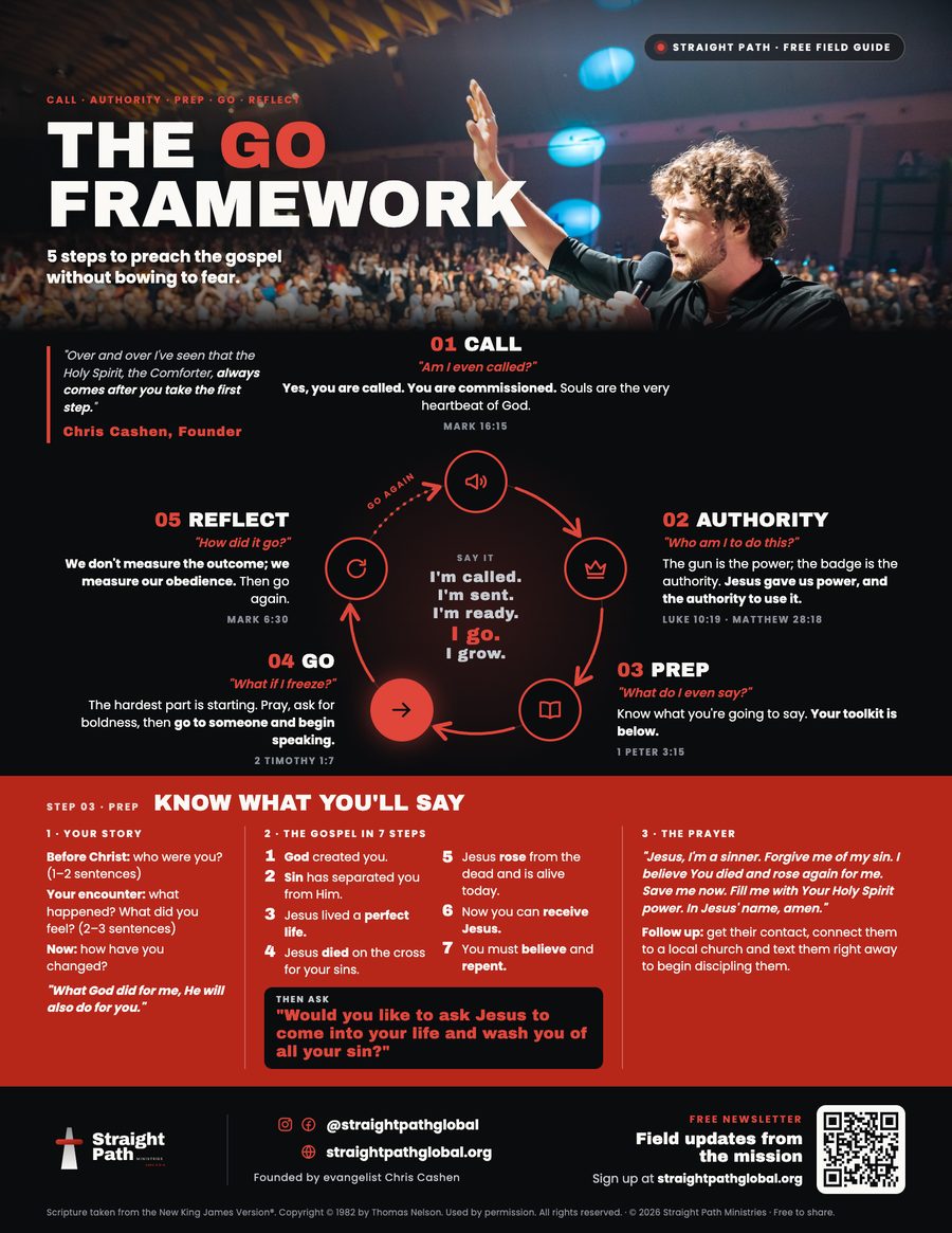 Preview of the free GO Framework guide